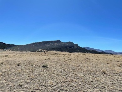 Up close views of the black hills with this 40 acre parcel in - photo 7
