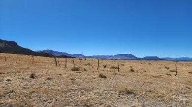 Up close views of the black hills with this 40 acre parcel in - photo 8