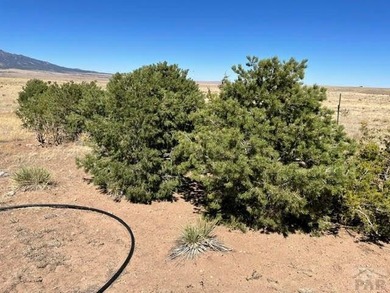 Up close views of the black hills with this 40 acre parcel in - photo 9