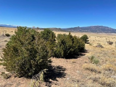 Up close views of the black hills with this 40 acre parcel in - photo 10