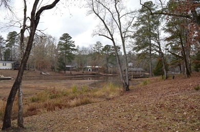 On lake Wateree, 3 bed 2 bath manufactured home on a .85-acre SOL - photo 6