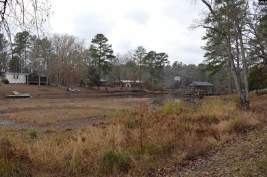 On lake Wateree, 3 bed 2 bath manufactured home on a .85-acre SOL - photo 7