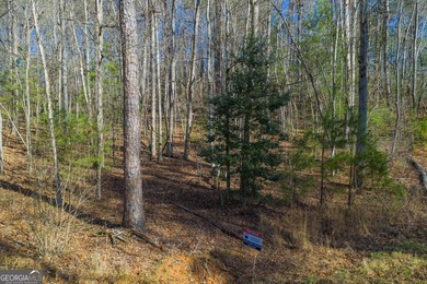 Exceptional Mountain Homesite Near Carters Lake - North Georgia - photo 11