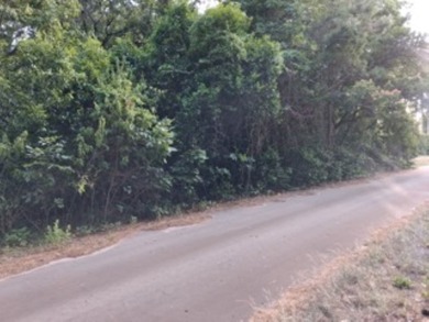 Large 1.06 acre heavily wooded lot located in the gated - photo 1