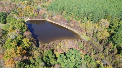 (private lake, pond, coastal) Acreage For Sale in Nathalie Virginia