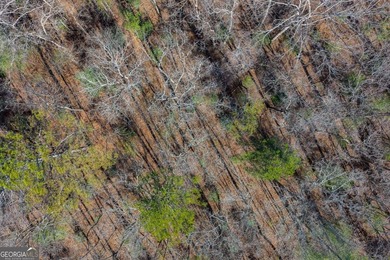 Exceptional Mountain Homesite Near Carters Lake - North Georgia - photo 12