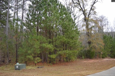 1.4 acre Waterfront lot in the Sailing Club neighborhood - photo 3