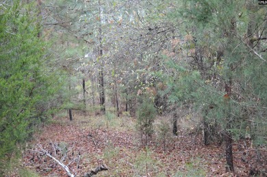1.4 acre Waterfront lot in the Sailing Club neighborhood - photo 4