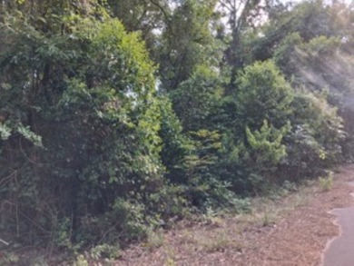 Large 1.06 acre heavily wooded lot located in the gated - photo 4
