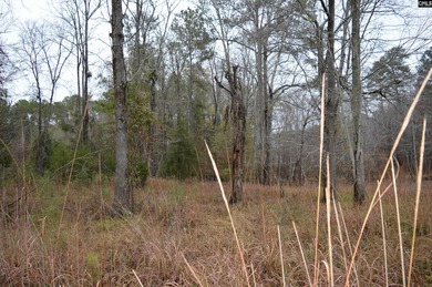 1.4 acre Waterfront lot in the Sailing Club neighborhood - photo 5