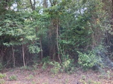 Large 1.06 acre heavily wooded lot located in the gated - photo 5