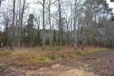 1.4 acre Waterfront lot in the Sailing Club neighborhood - photo 6