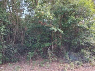 Large 1.06 acre heavily wooded lot located in the gated - photo 6