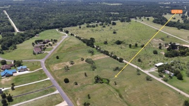 1.01 Acre Homesite in Lake Subdivision - Streetman, TX - photo 6