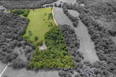 (private lake, pond, creek) Acreage For Sale in Berryville Arkansas