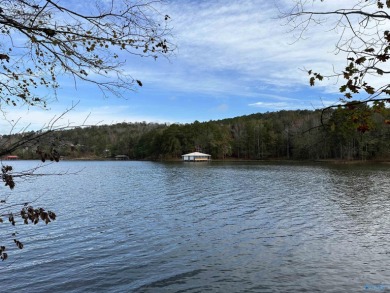Lake Acreage For Sale in Ohatchee, Alabama