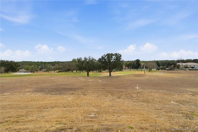 Welcome home to Florida's Nature Coast area in beautiful Citrus - photo 43