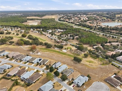 Welcome home to Florida's Nature Coast area in beautiful Citrus - photo 48