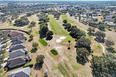 Welcome home to Florida's Nature Coast area in beautiful Citrus - photo 55
