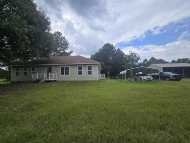 Lake Home For Sale in Mauk, Georgia