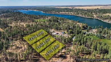 Lake Lot For Sale in Medical Lake, Washington