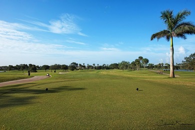 Discover luxury living in the heart of PGA National's - photo 49