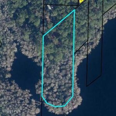 (private lake, pond, creek) Lot For Sale in Chipley Florida