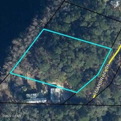 (private lake, pond, creek) Lot For Sale in Chipley Florida