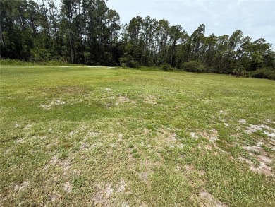 Lake Lot For Sale in Georgetown, Florida
