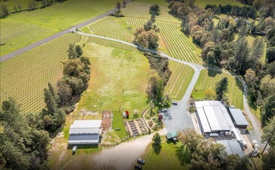 Vineyard, Winery, Creamery, Charcuterie and Vacation Rentals in - photo 4