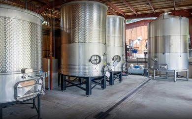 Vineyard, Winery, Creamery, Charcuterie and Vacation Rentals in - photo 5