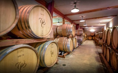 Vineyard, Winery, Creamery, Charcuterie and Vacation Rentals in - photo 7