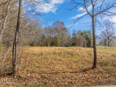 Holston River - Grainger County  Acreage For Sale in Blaine Tennessee