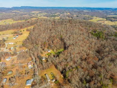 Escape to your own 17 plus Acre Sanctuary in East Tennessee - photo 2