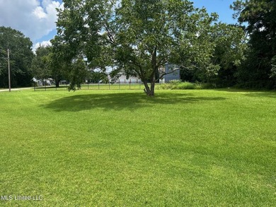 Prime Mixed-Use Corner Lot - Ready for Development! Discover the - photo 4