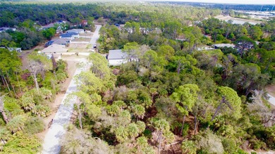 Your choice! Purchase Lot 5 on Dundee Ave, or create a spacious - photo 3