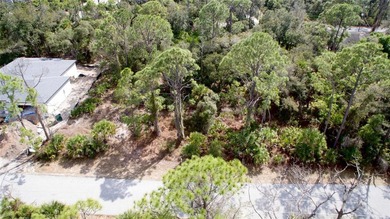 Your choice! Purchase Lot 5 on Dundee Ave, or create a spacious - photo 5