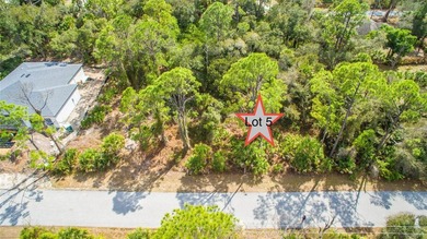Your choice! Purchase Lot 5 on Dundee Ave, or create a spacious - photo 6