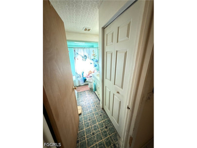 Fantastic opportunity in the heart of Fort Myers! This pool home - photo 10