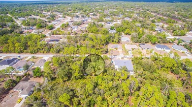 Your choice! Purchase Lot 5 on Dundee Ave, or create a spacious - photo 10