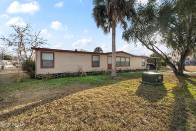 Lake Panasoffkee Home For Sale in Lake Panasoffkee Florida