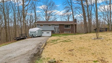 (private lake, pond, creek) Home For Sale in Vincent Ohio