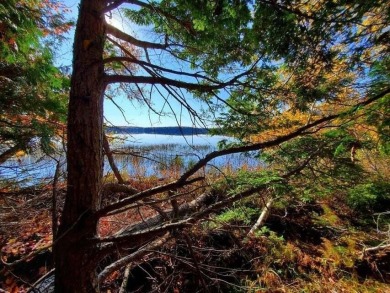 Lake Acreage For Sale in Princeton, Maine