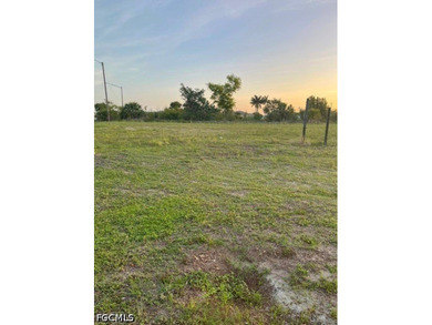 Freshwater canal lot in southwest Cape Coral. This corner parcel - photo 3