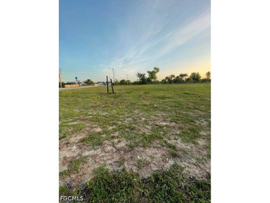 Freshwater canal lot in southwest Cape Coral. This corner parcel - photo 4