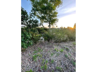 Freshwater canal lot in southwest Cape Coral. This corner parcel - photo 5