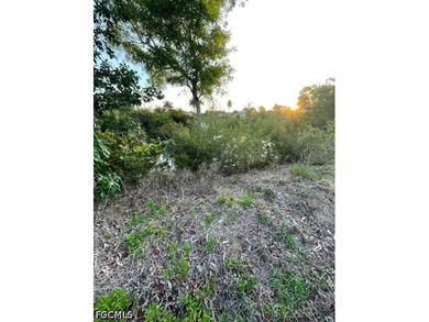 Freshwater canal lot in southwest Cape Coral. This corner parcel - photo 6
