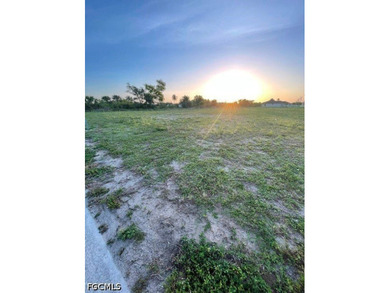 Freshwater canal lot in southwest Cape Coral. This corner parcel - photo 7