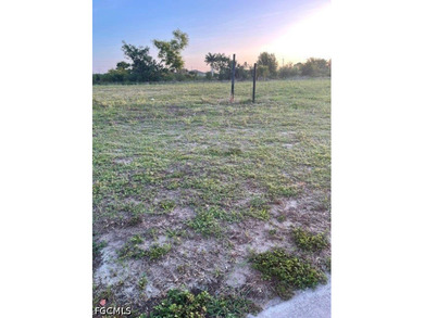 Freshwater canal lot in southwest Cape Coral. This corner parcel - photo 8