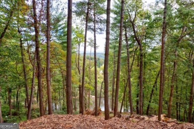 (private lake, pond, creek) Acreage For Sale in Ellijay Georgia